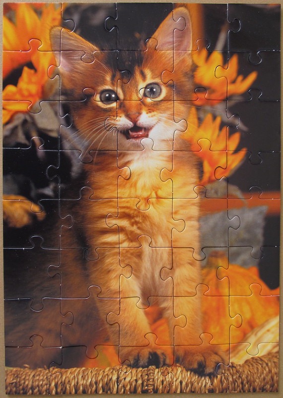 An adorable ginger kitten sitting in a basket surrounded by vibrant orange sunflowers and a pumpkin.
