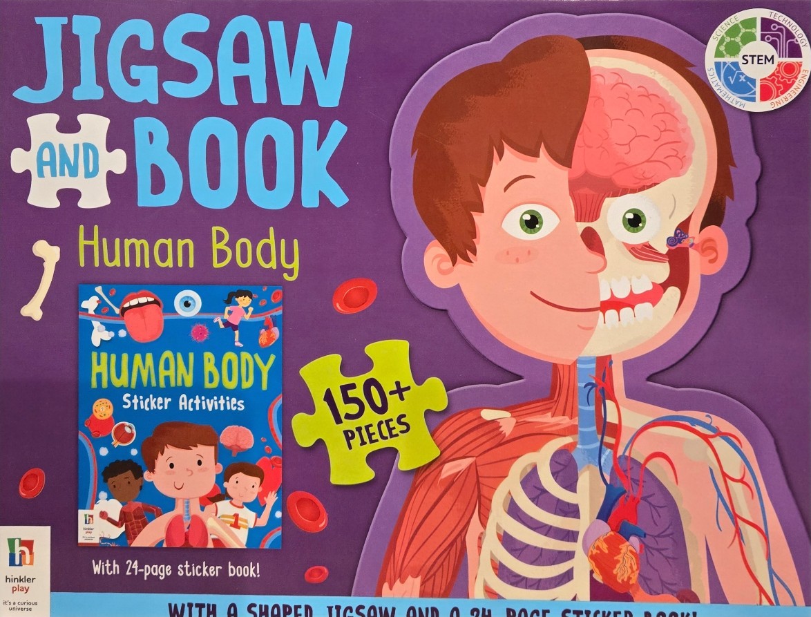 Educational illustration of a human body with half skin and half internal anatomy against a purple background.