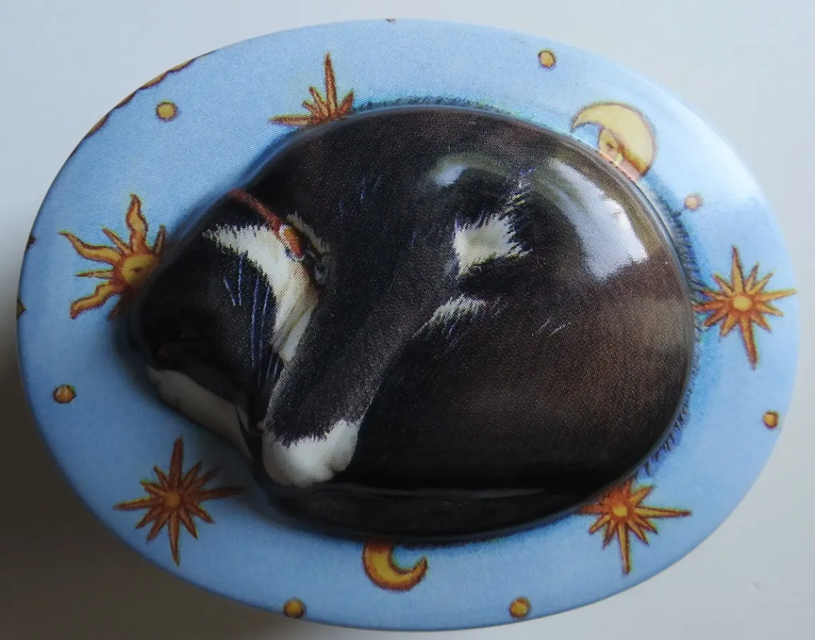 A black and white cat sleeping curled up on an oval background of blue with stars and moons.