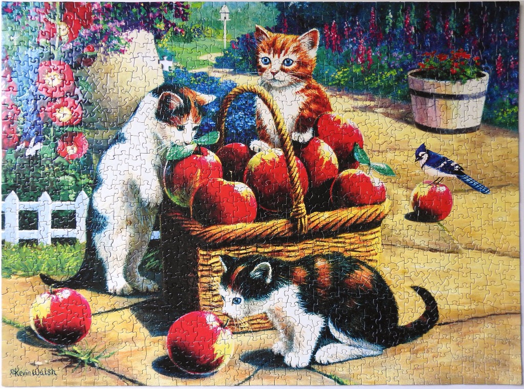 Three kittens interacting with a basket of bright red apples in a sunlit garden setting with a blue jay nearby.
