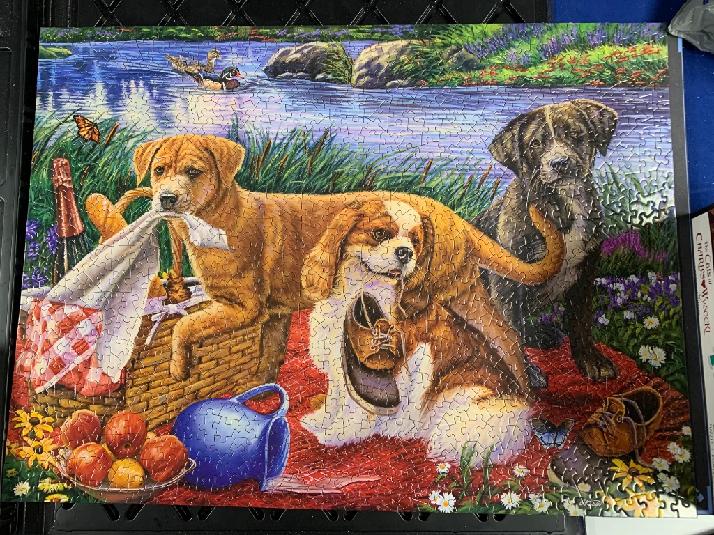 Three dogs playing at a lakeside picnic with a basket, a bowl of apples, and a spilled pitcher.