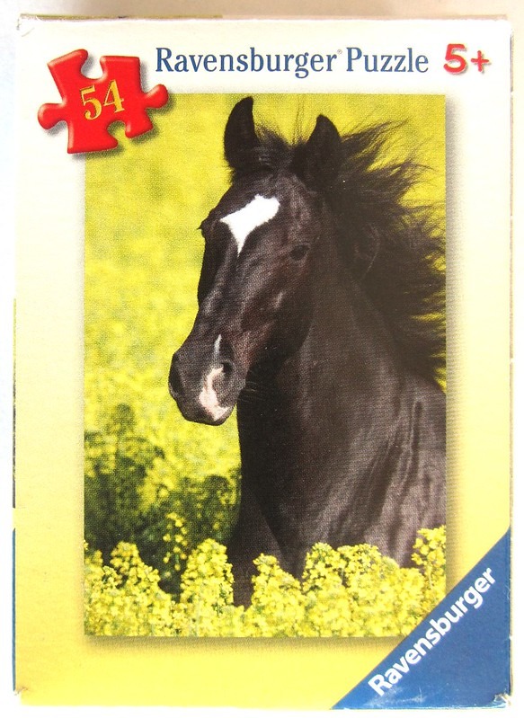 A close-up photograph of a black horse with a white star on its forehead standing in a field of bright yellow flowers.