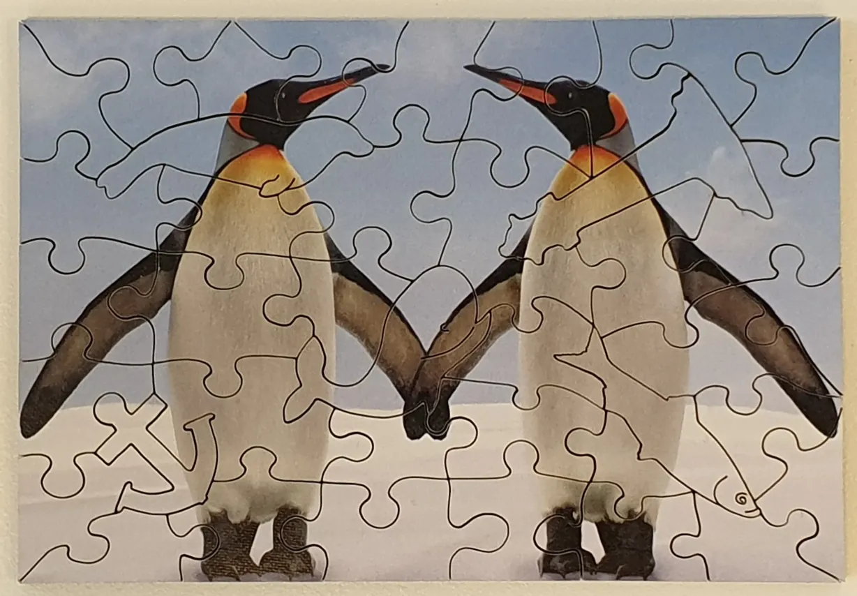 Two king penguins standing side-by-side against a light blue sky and white snow backdrop.