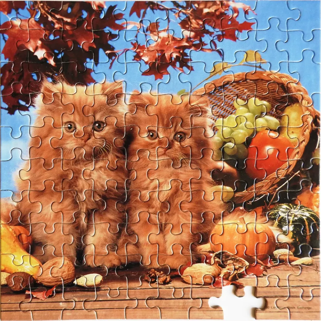 Two fluffy orange kittens sitting in front of an autumn harvest basket