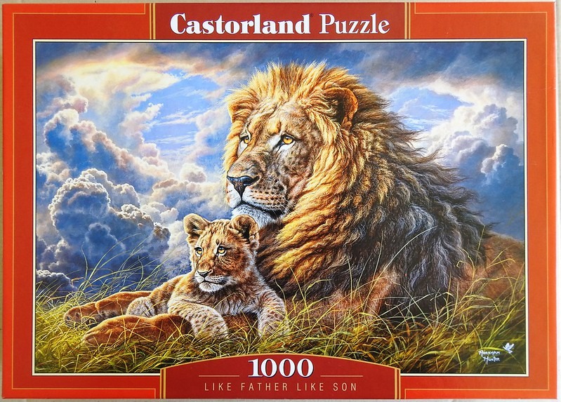 A male lion and his cub lying in tall grass against a dramatic cloudy sky.