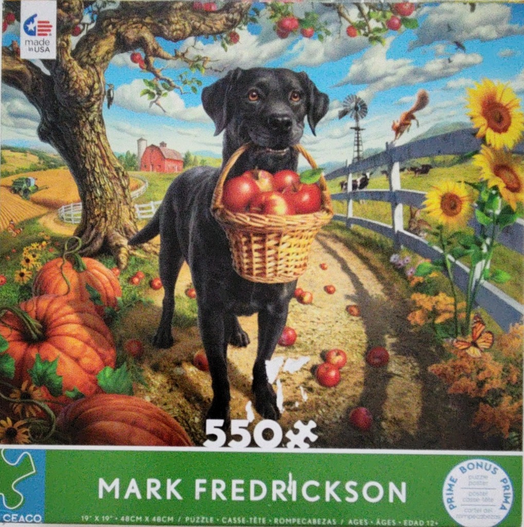 A black Labrador holding a basket of apples in a vibrant autumn farm setting with sunflowers and pumpkins.