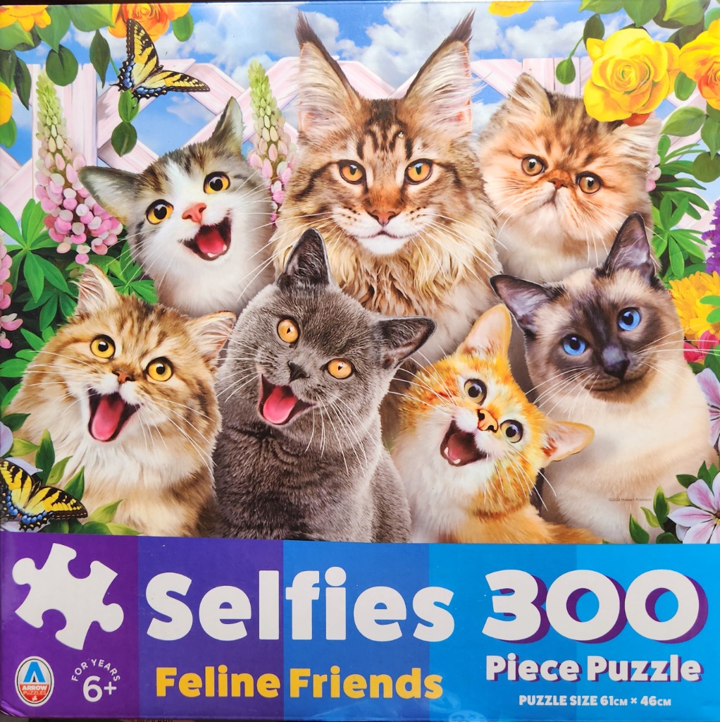 Six colorful kittens and cats of various breeds smiling at the camera in a garden setting.