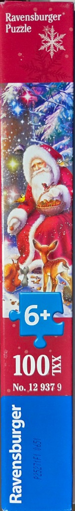 Christmas in the Forest