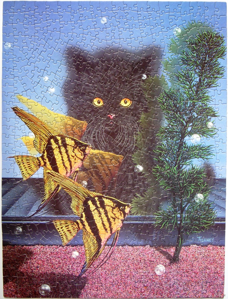 A black cat watches two angelfish swimming in an aquarium.