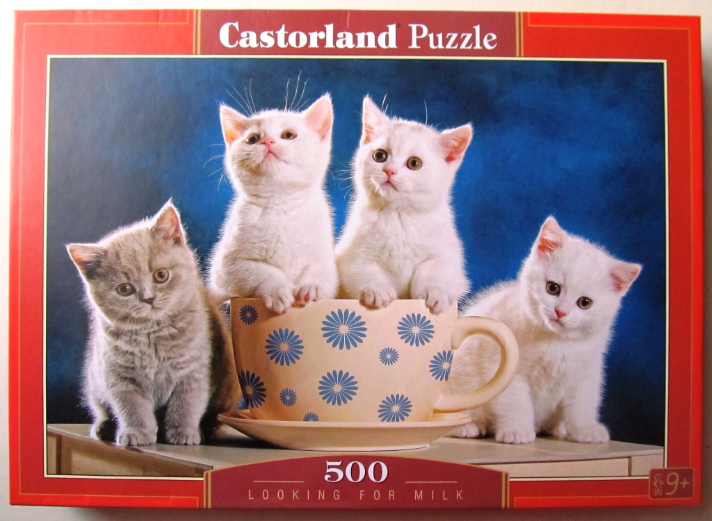 Four kittens, three white and one grey, posing around a large tea cup against a dark blue background.