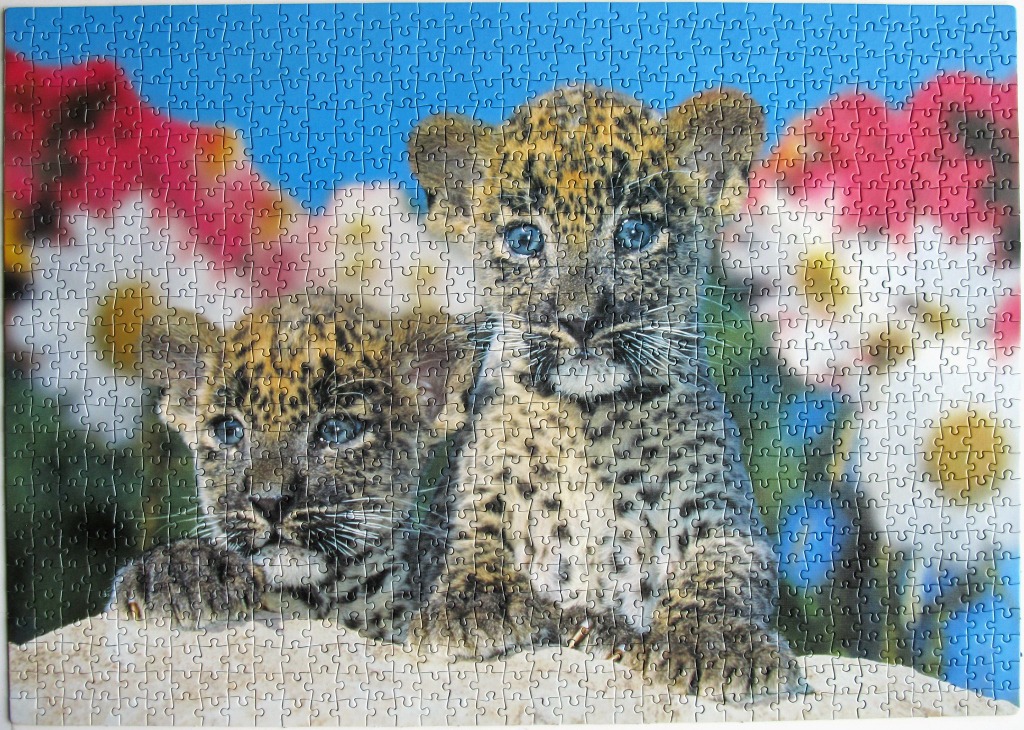 Two adorable leopard cubs resting together against a bright, colorful background of flowers and sky.