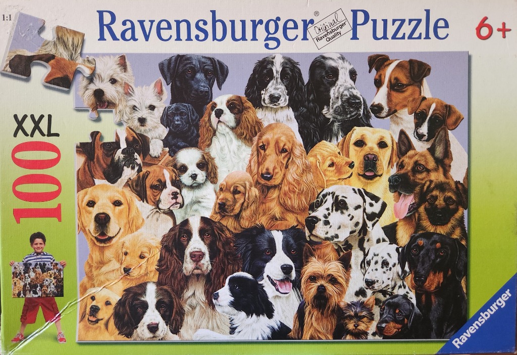 A collage of many different breeds of dogs grouped together in a dense cluster.