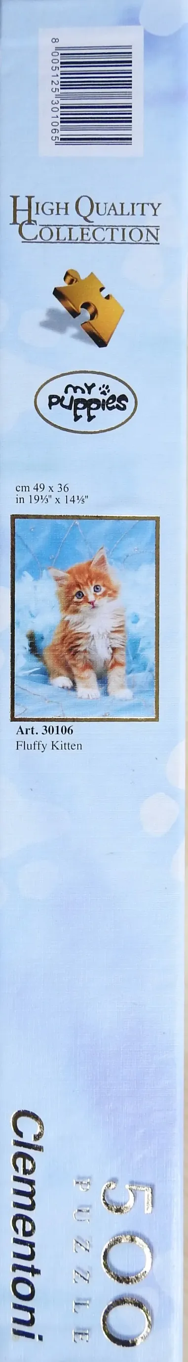 Fluffy Kitten