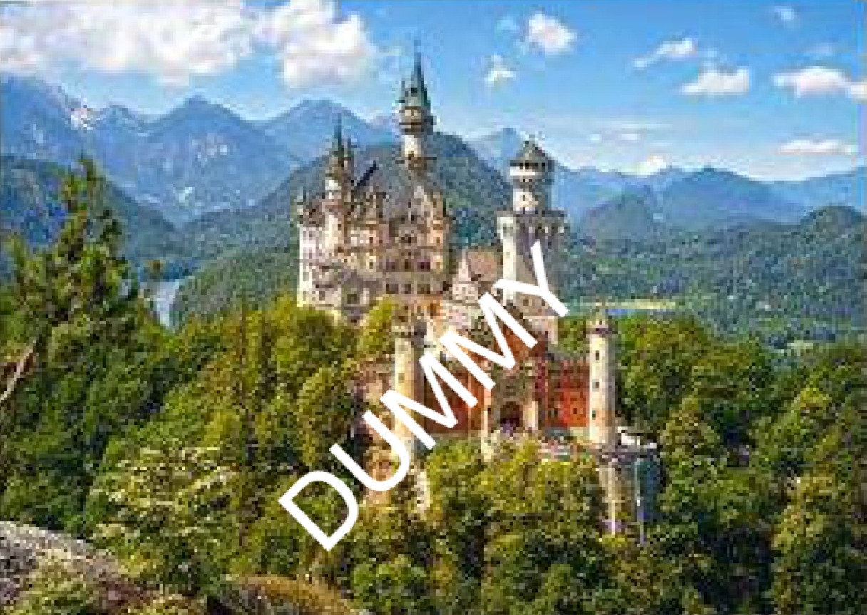 View of the Neuschwanstein Castle, Germany