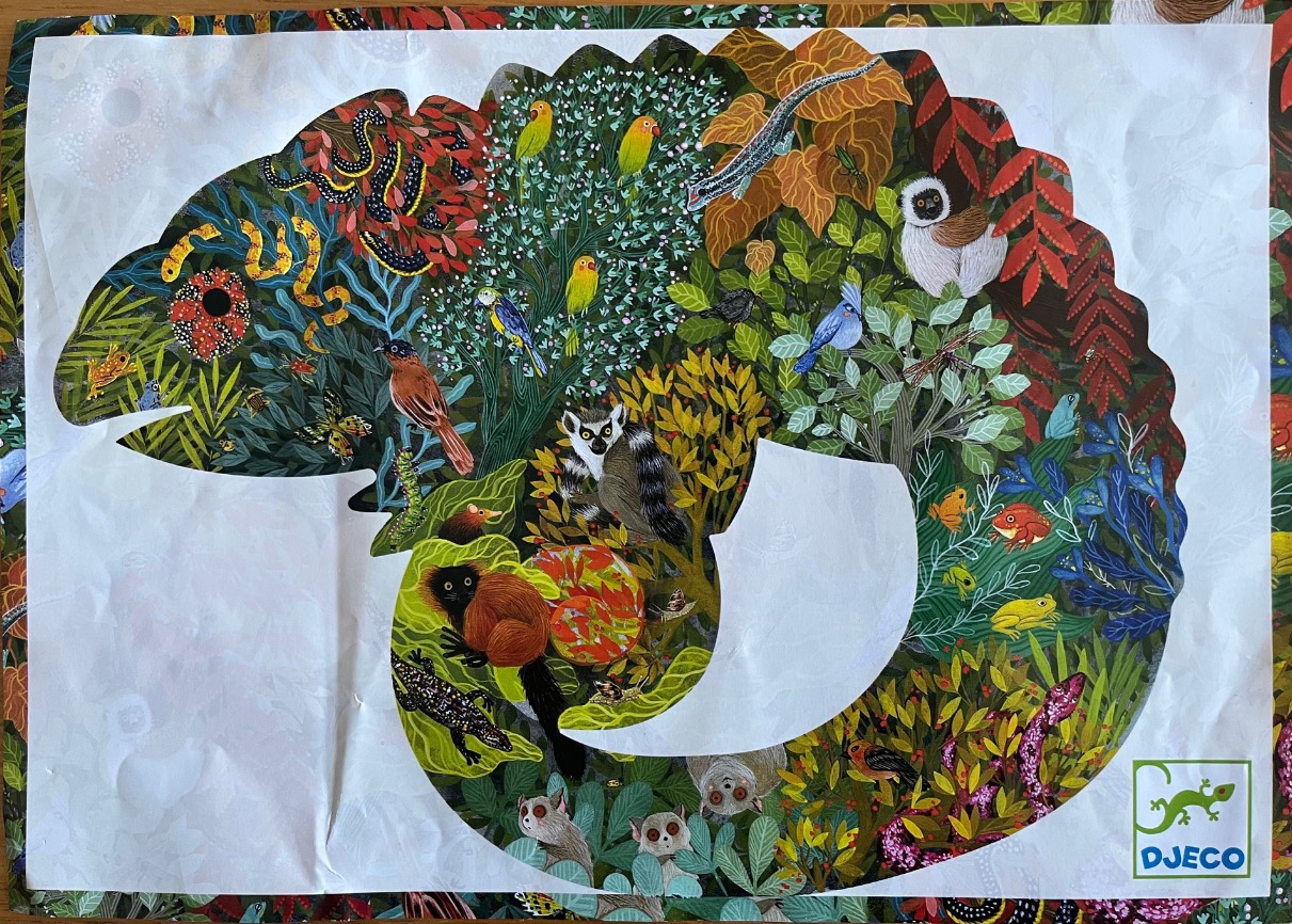 A chameleon-shaped collage filled with various tropical animals, birds, and lush foliage.