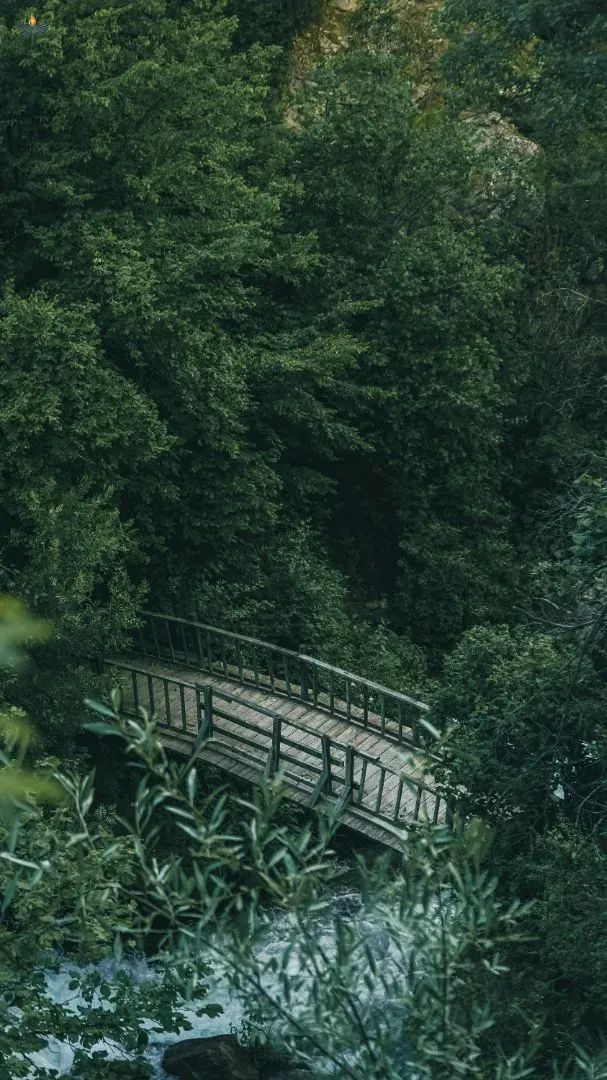 nature