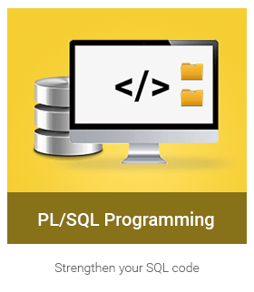 Learn PL/SQL Programming