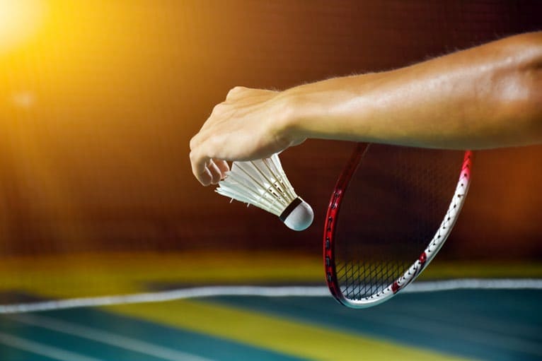 Paddle Tennis Court | Badminton Court