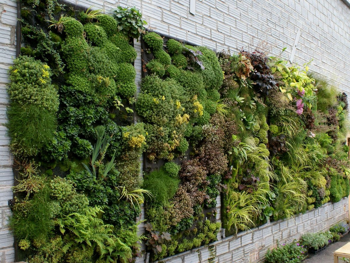 Herbal & Hydroponics Garden