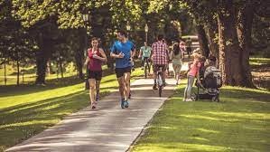 Jogging / Walking Track