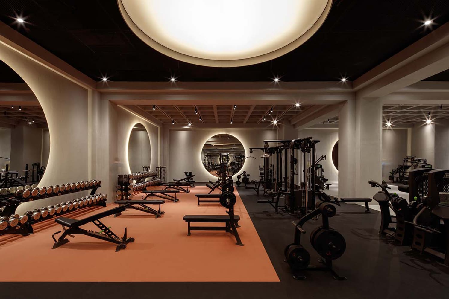 Gymnasium