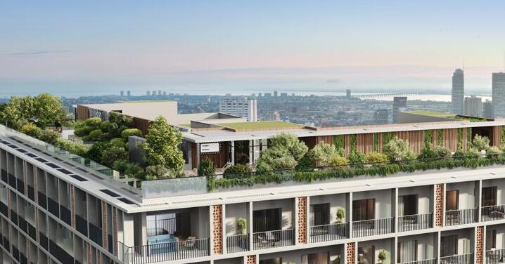 Roof Garden