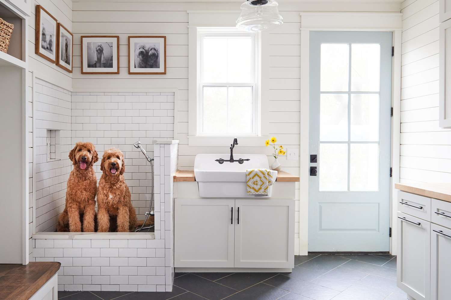 Pet Washroom