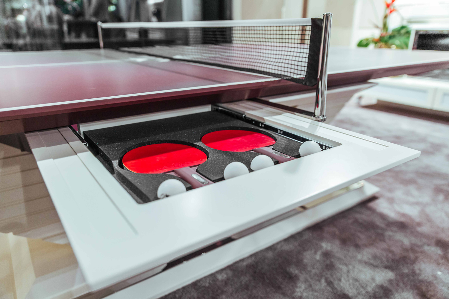 Table Tennis Area