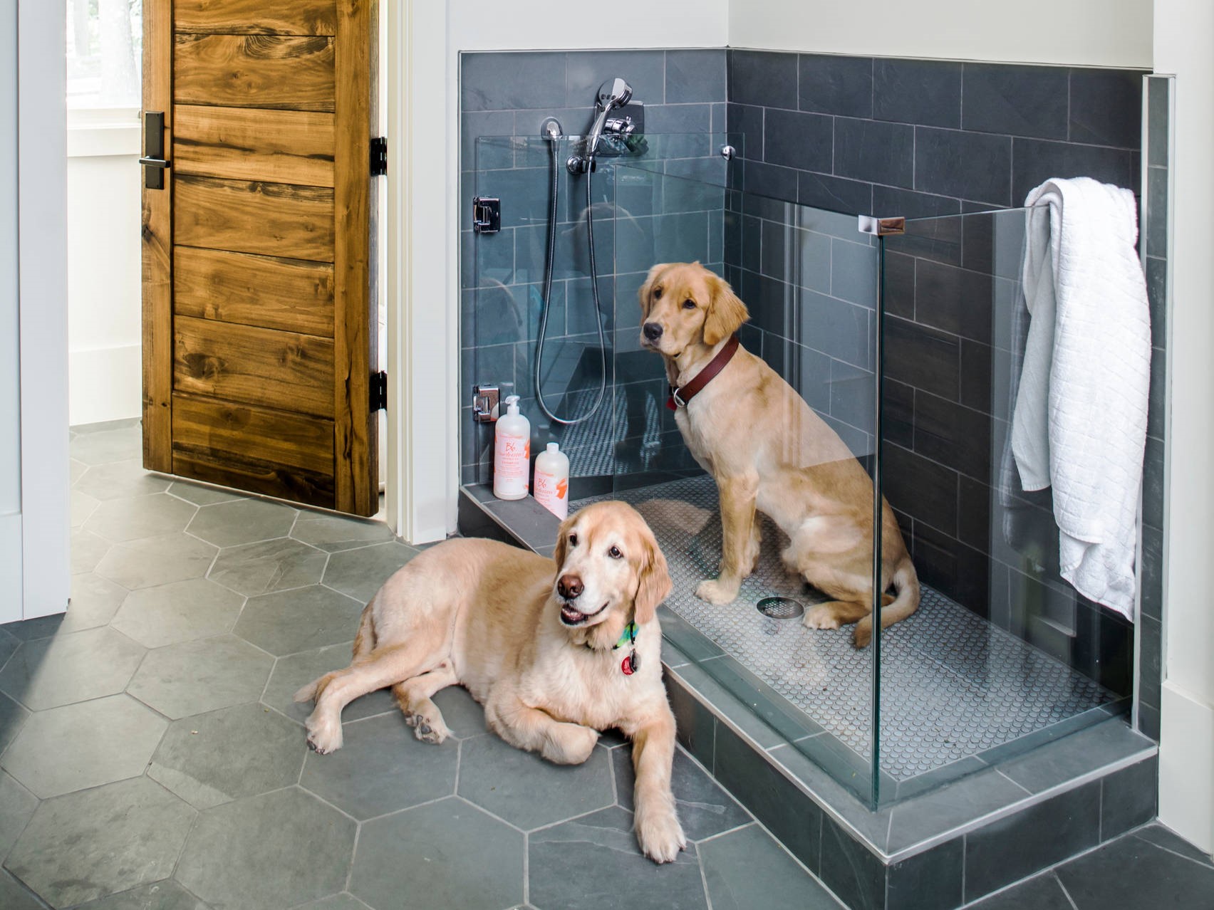 Pet Washroom