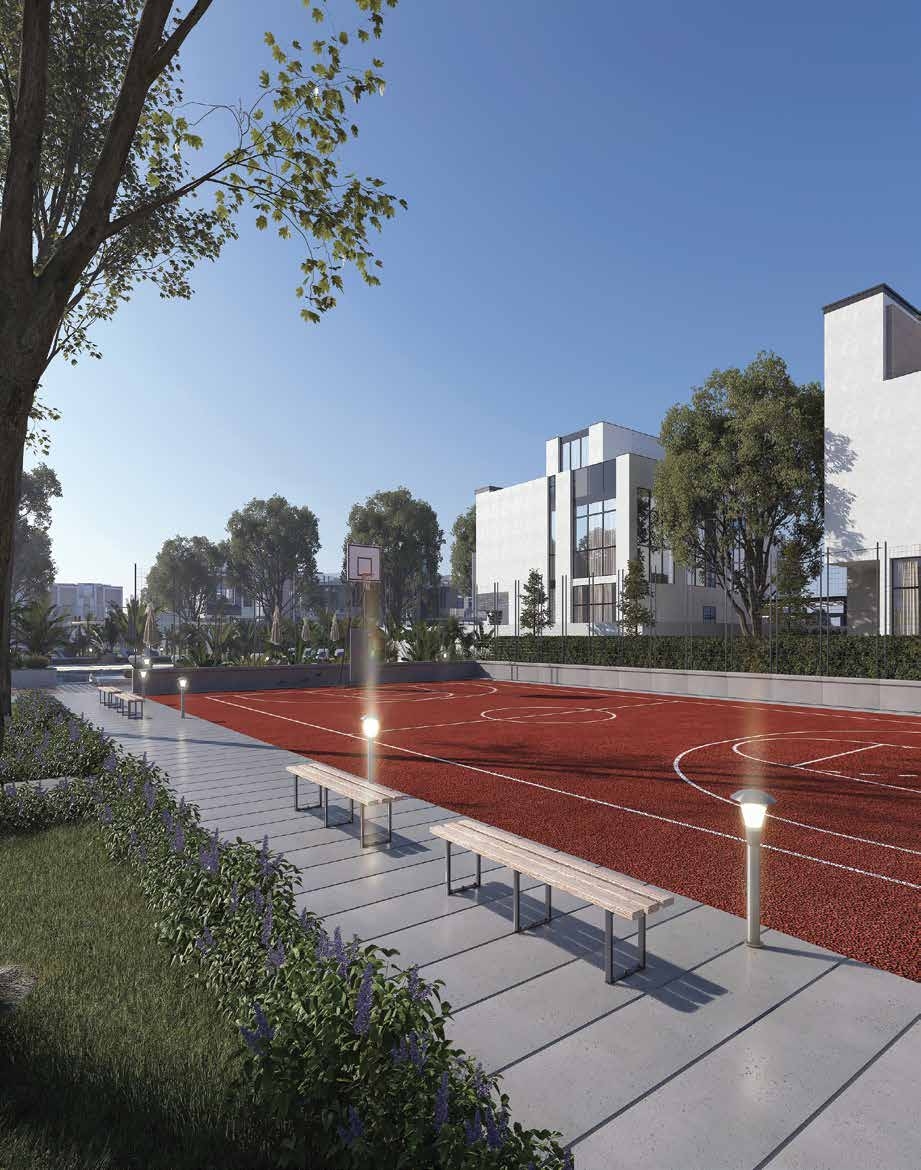 Basketball Court