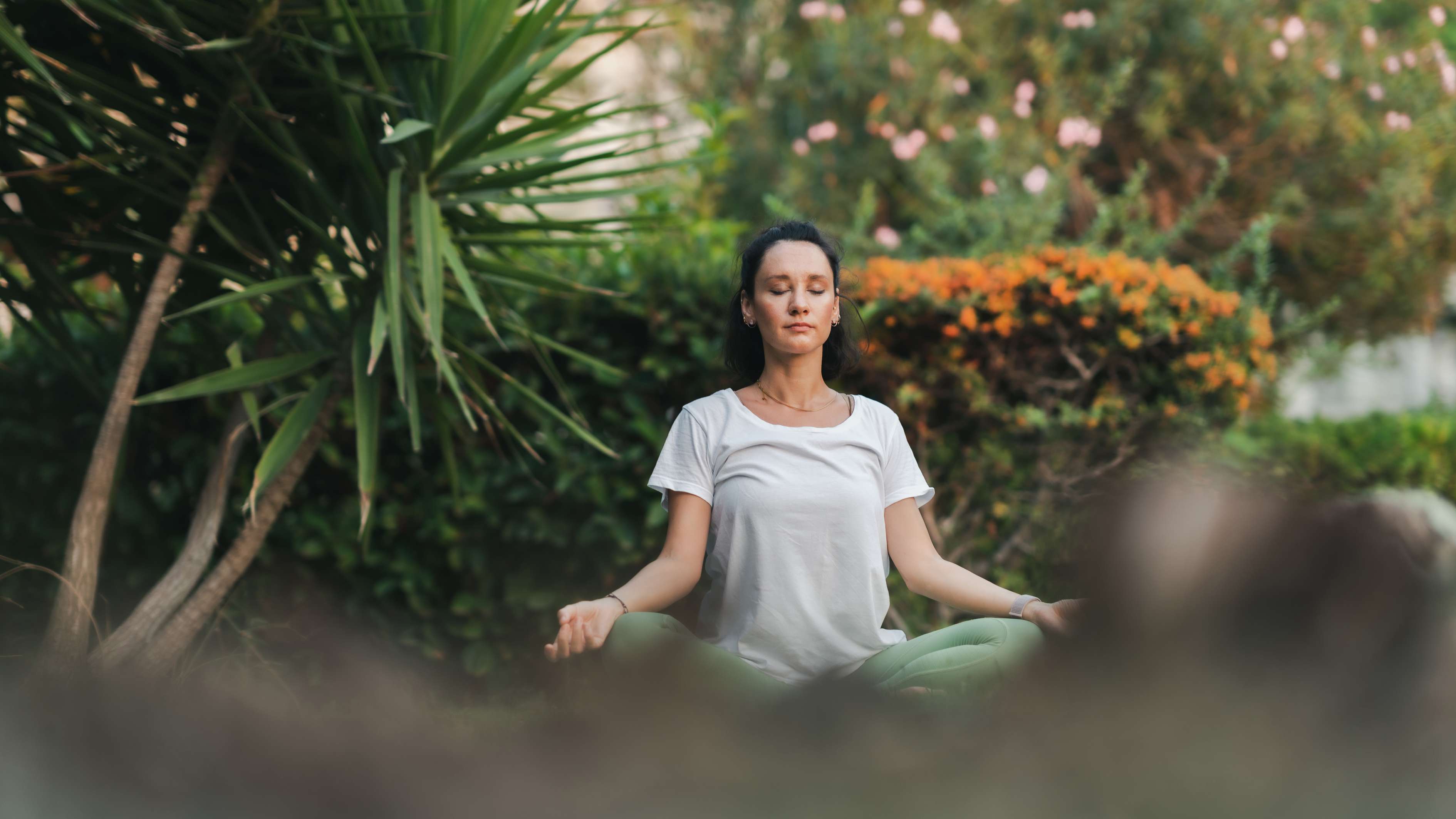 Meditation Garden