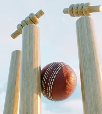 Cricket Field