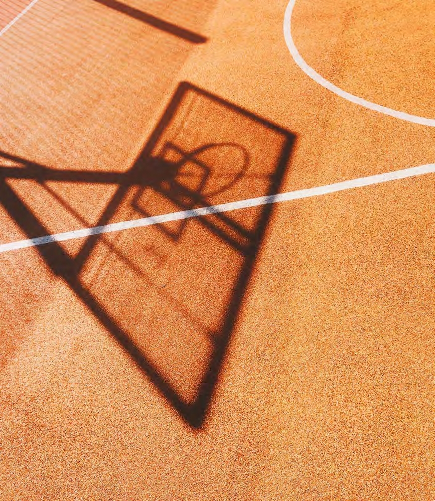 Basketball Сourt