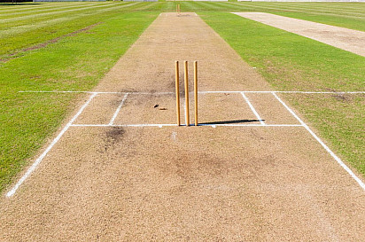 Cricket Pitch