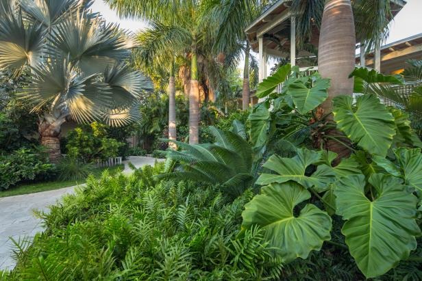 Lush Landscaped Gardens