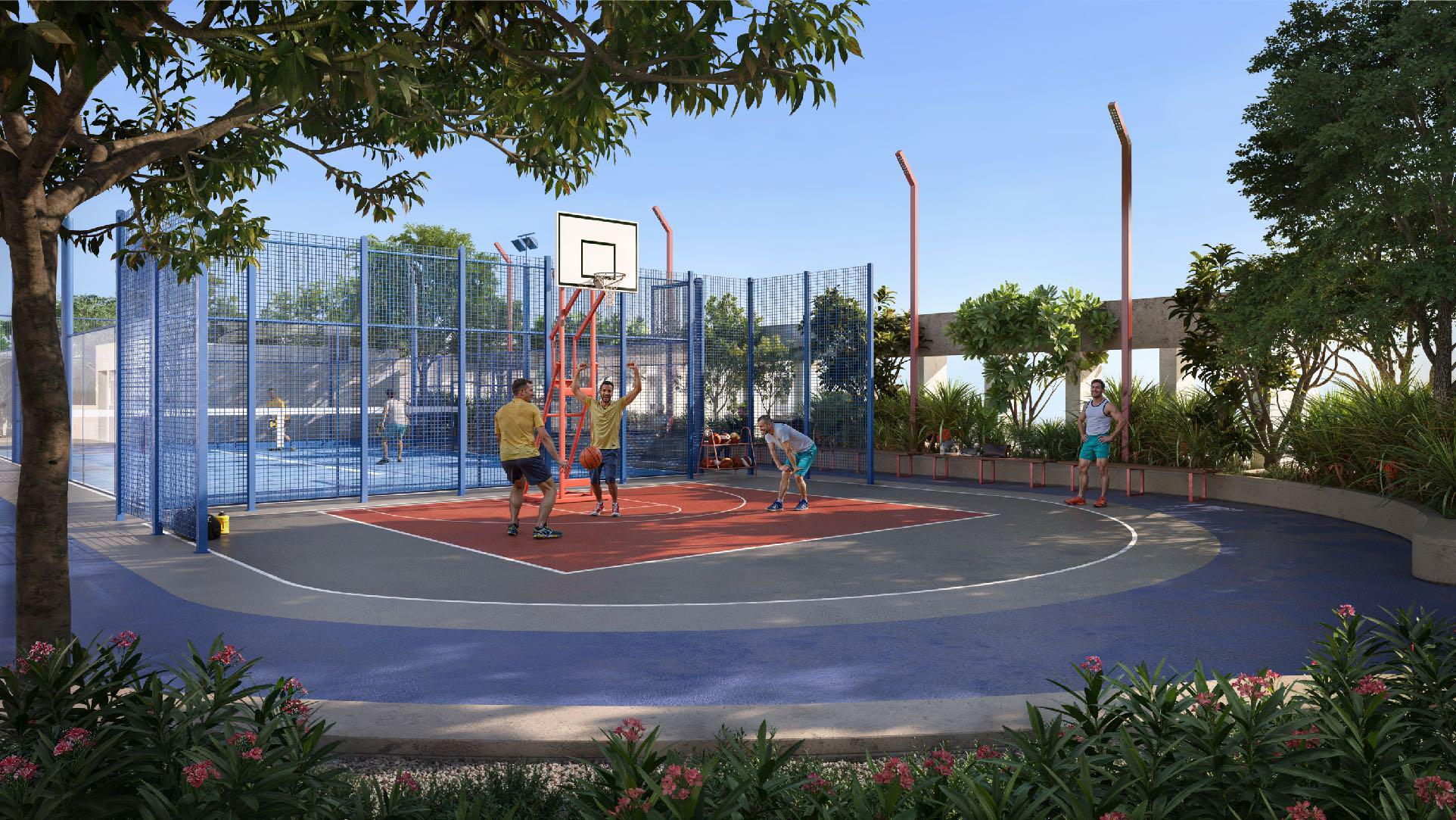 Basketball Hoop