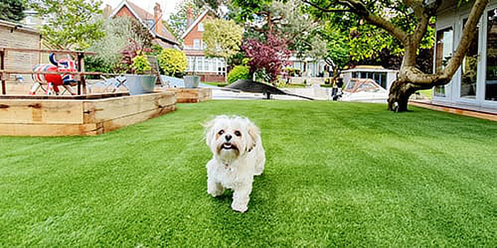 Pet Garden