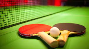 Outdoor Table Tennis