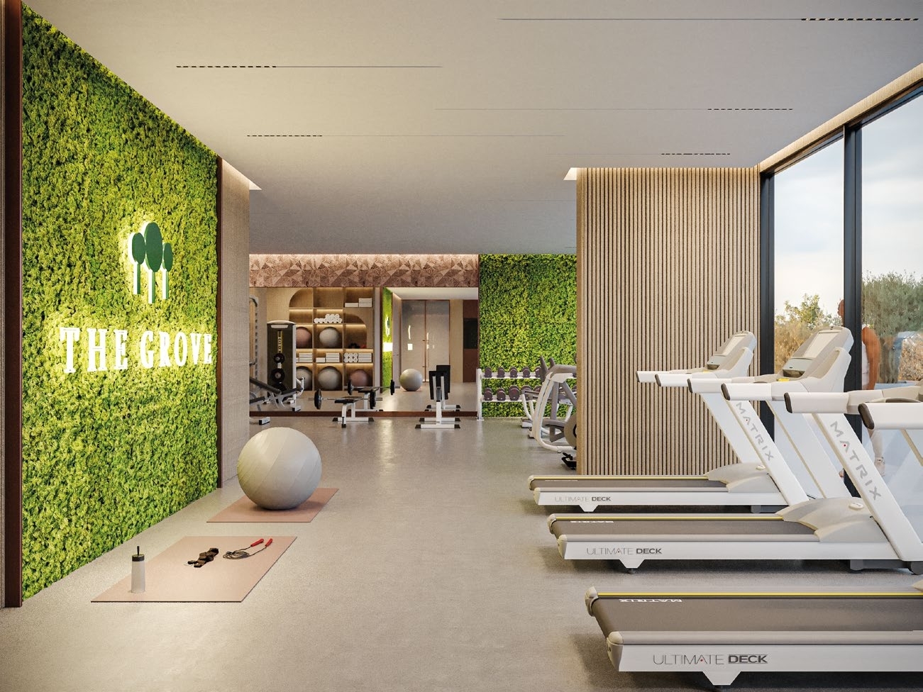 Gym