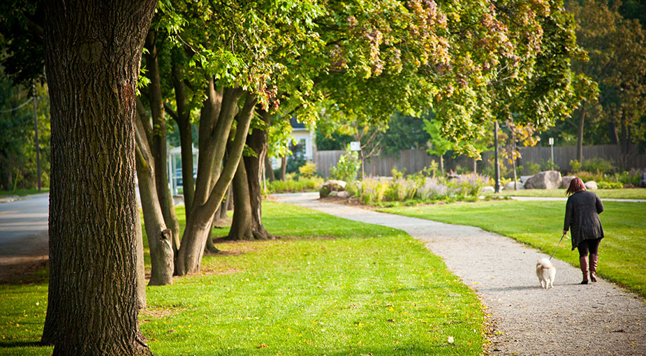 Parks And Leisure Areas