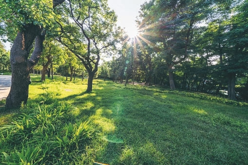 Parks & Gardens