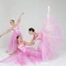Ballet classique «Florina»