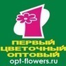 Opt-Flowers