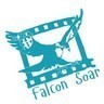 Falcon Soar