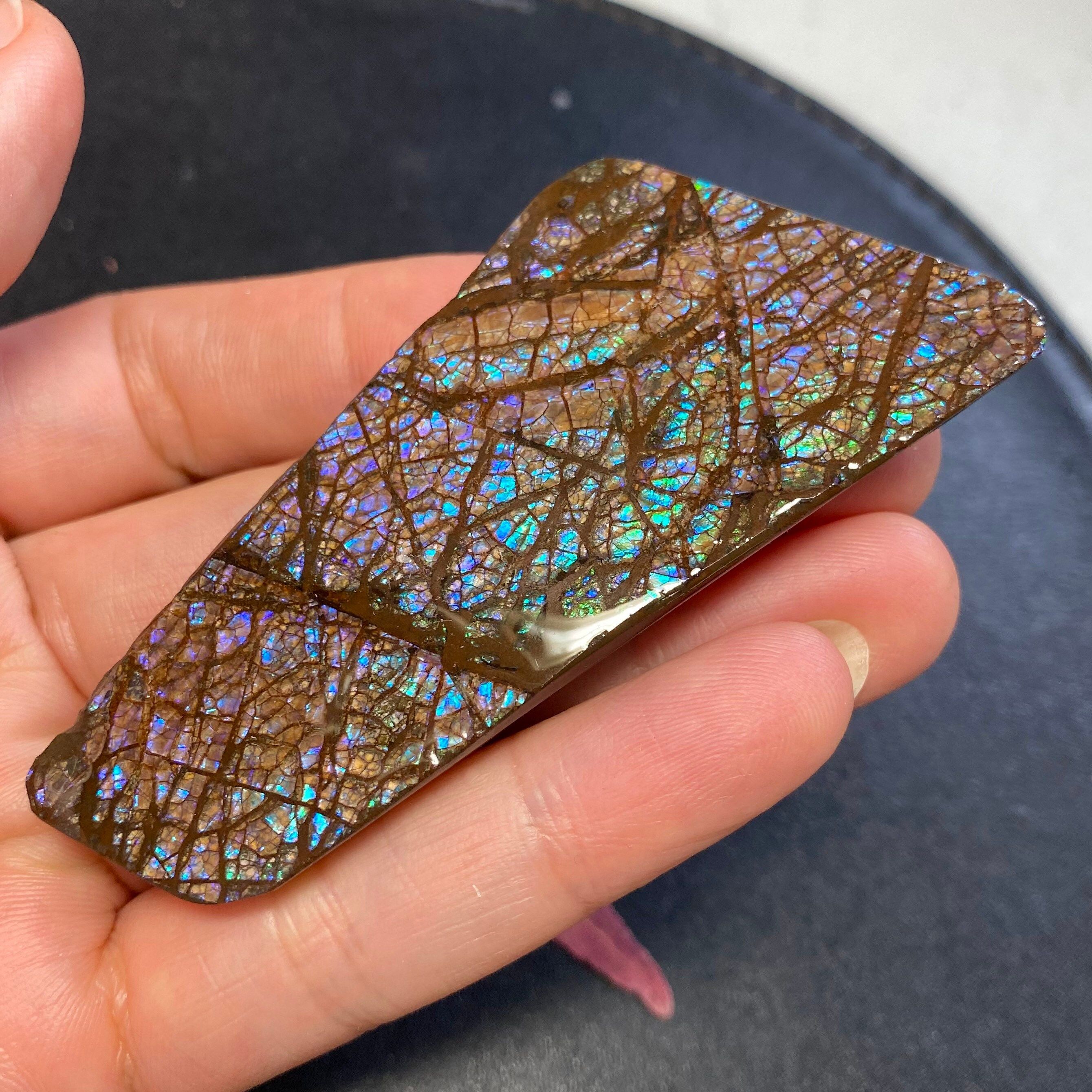 Item: ✅ “Natural Ammolite Fossil Small Pair– Opalized Gemstone from Canada” preview