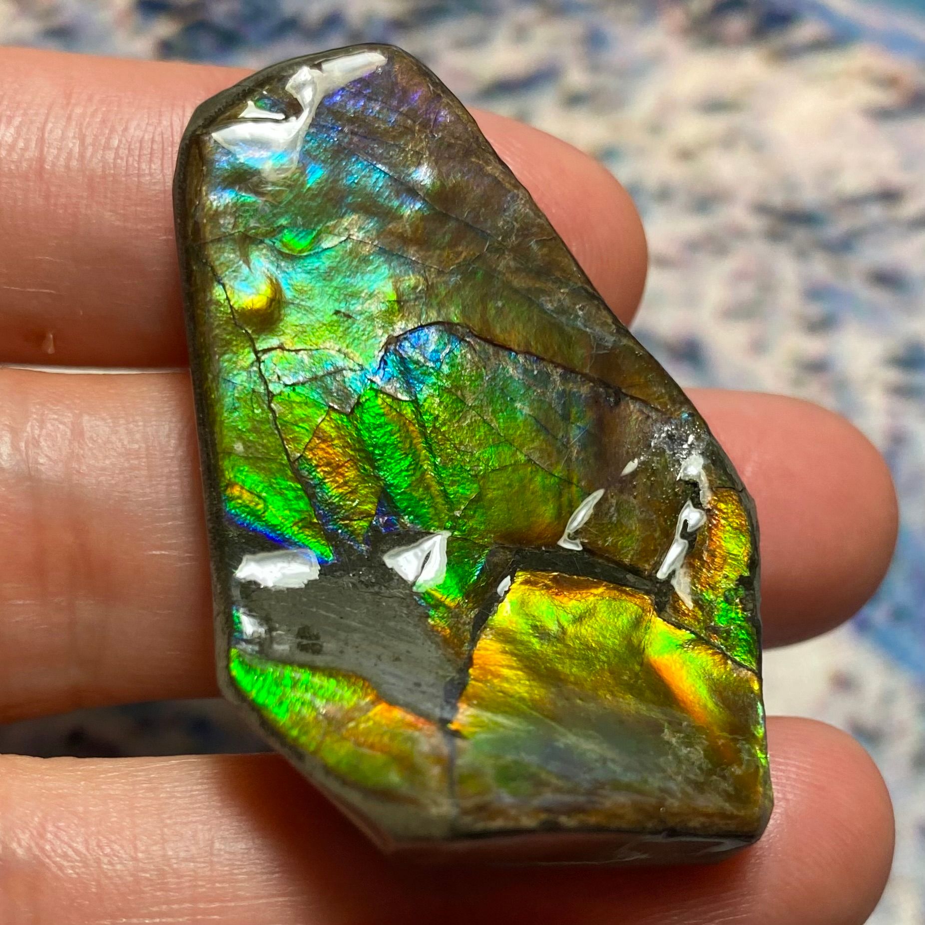 Item: Genuine Ammolite Gemstone – Perfect for DIY Jewelry Projects Curved Surface preview