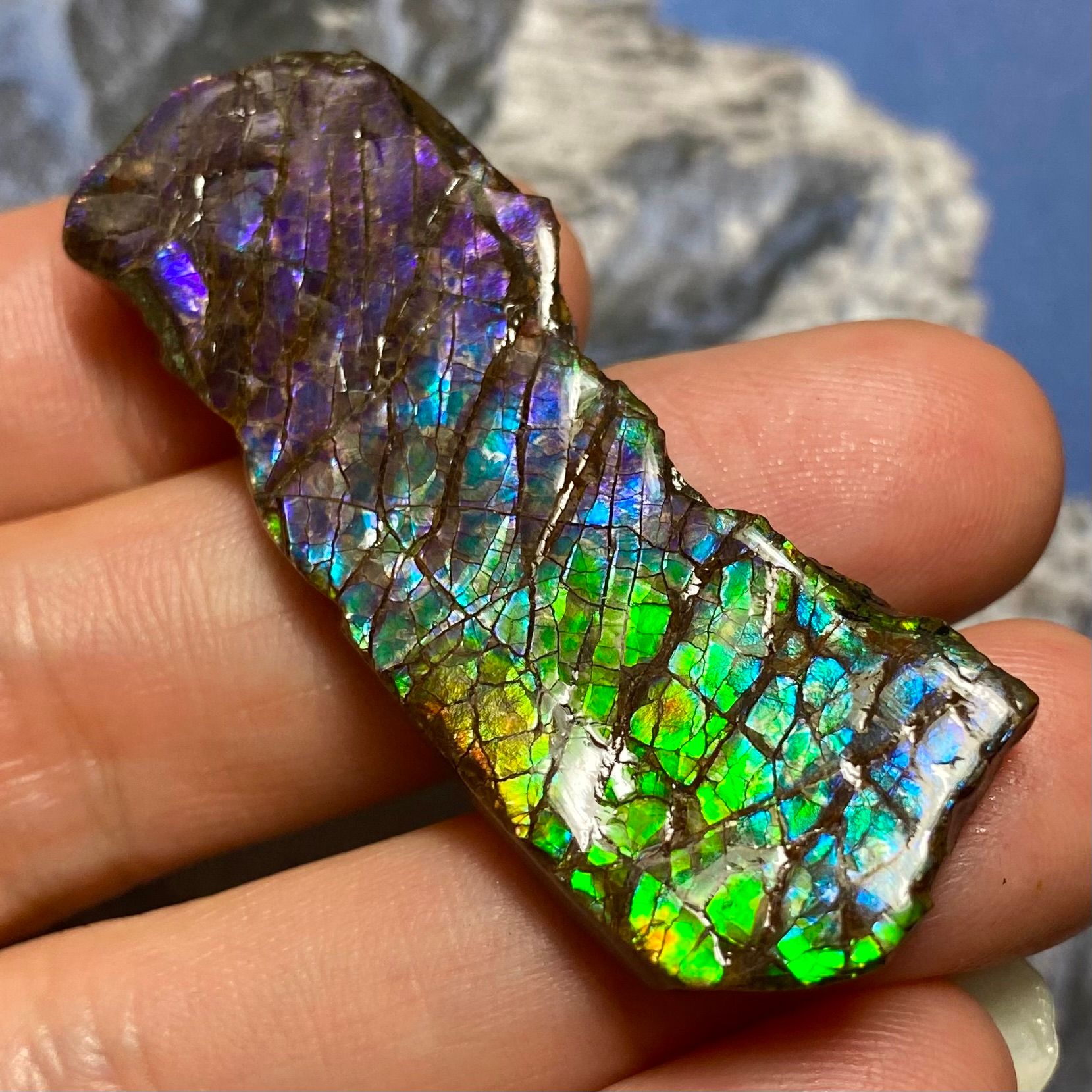 Item: Find Your Unique Ammolite Gemstone | Nature's Rainbow Treasure preview