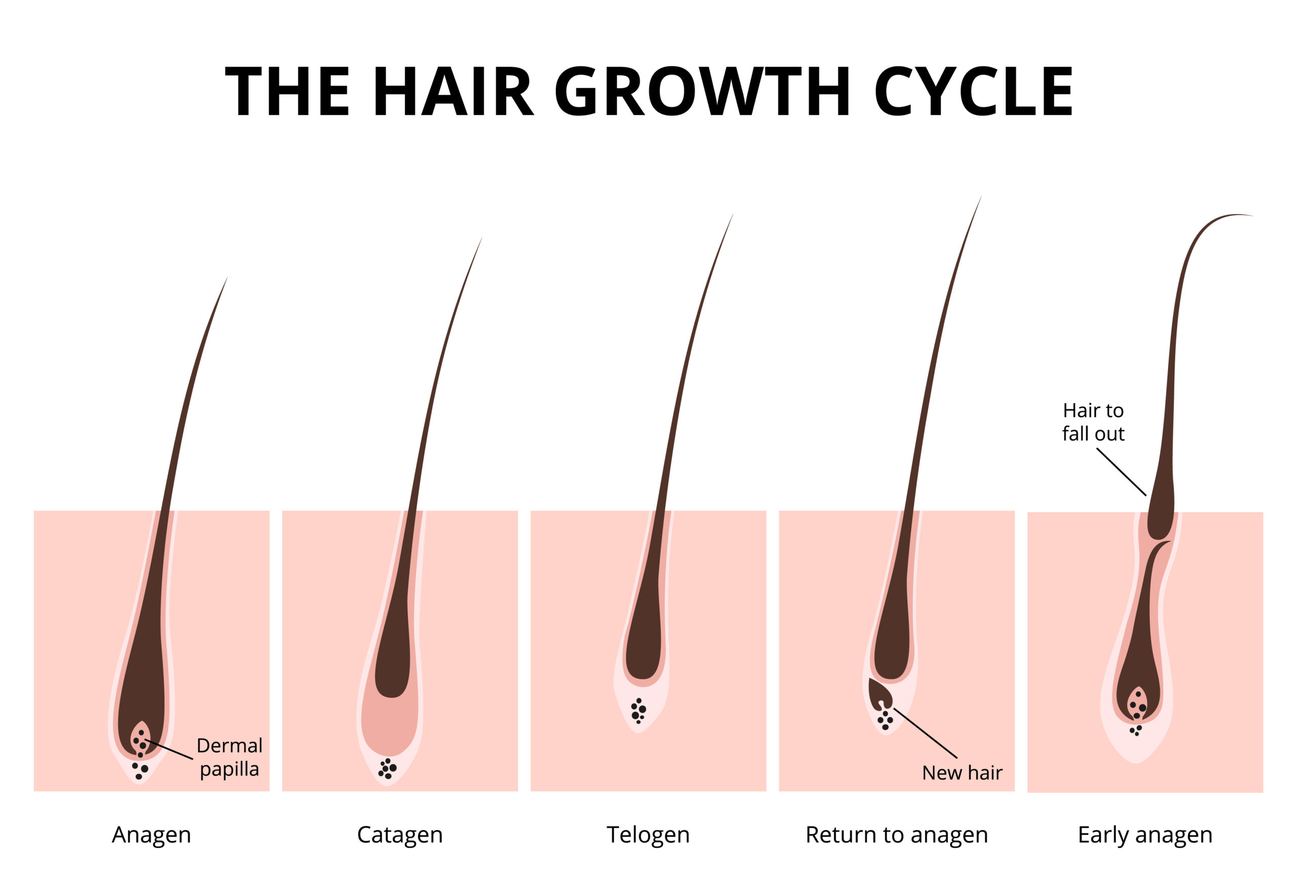 julia-caban-how-to-grow-your-hair-long-fast-3-inches-in-a-month