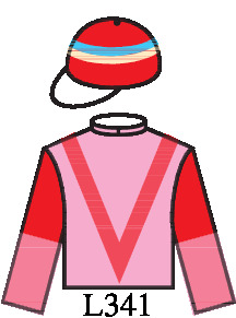 Jockey Icon