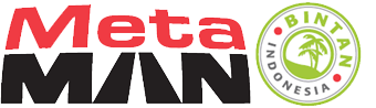 Metaman